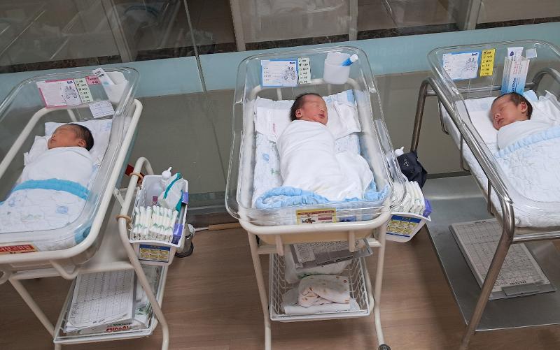 La foto muestra a unos reci&eacute;n nacidos en un centro p&uacute;blico de cuidados posparto en Suncheon, provincia de Jeollanam-do. | Gobierno Provincial de Jeollanam-do