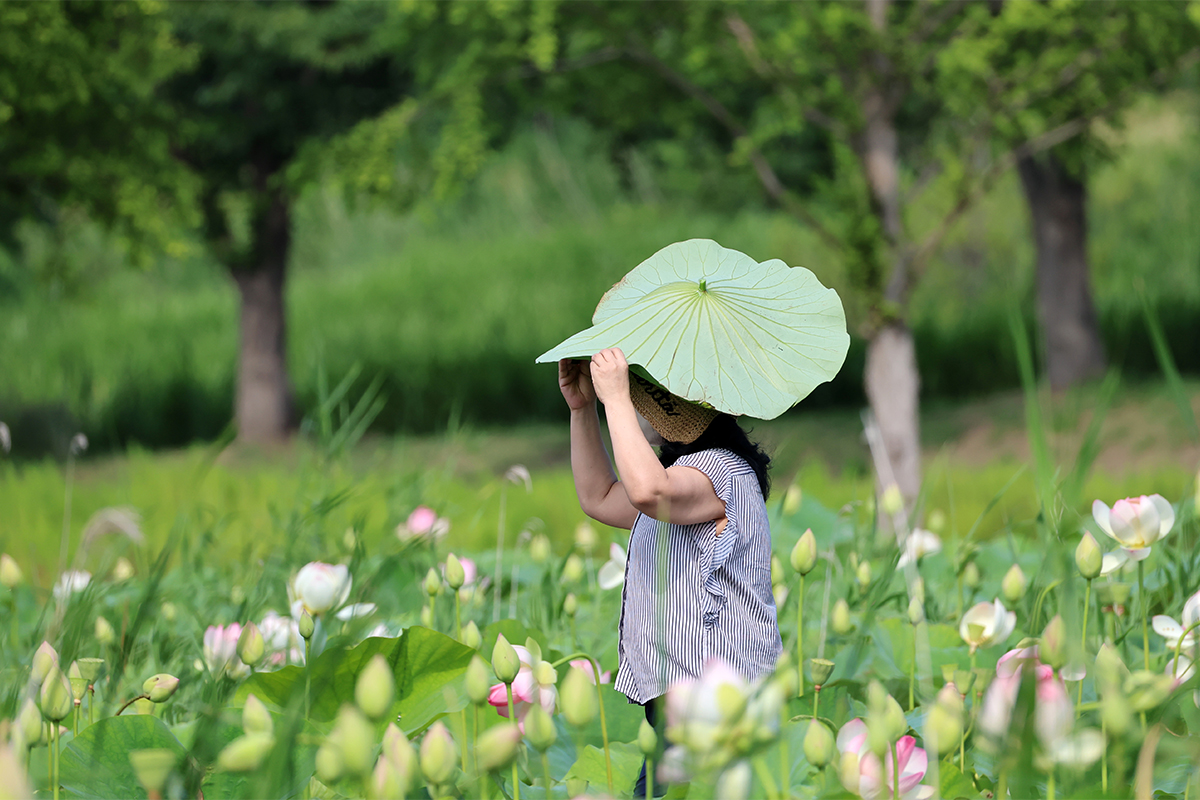 todayphoto_260701