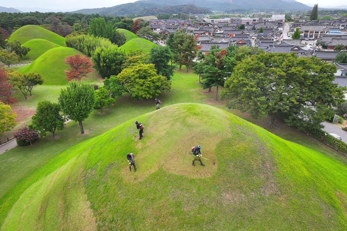 En v&iacute;speras del Chuseok, el 18 de septiembre, un grupo de trabajadores corta el c&eacute;sped en uno de los t&uacute;mulos de Daereungwon, el hist&oacute;rico complejo de tumbas reales ubicado en Gyeongju, en la provincia de Gyeongsangbuk-do.