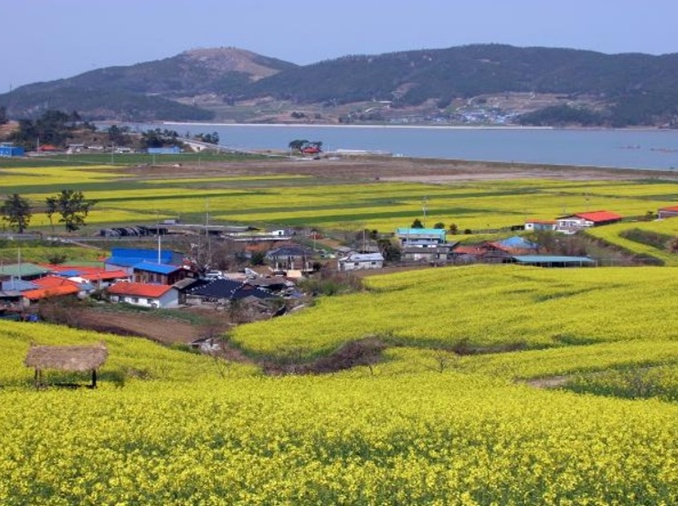 Corea reembolsará el 50 por ciento de los gastos de viaje en 9 zonas rurales