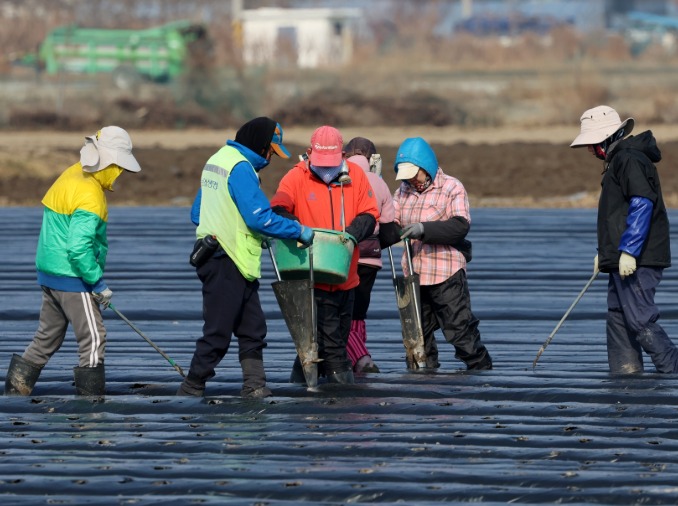 Corea amplía al 50 por ciento la contratación de trabajadores extranjeros cualificados en el sector agropesquero