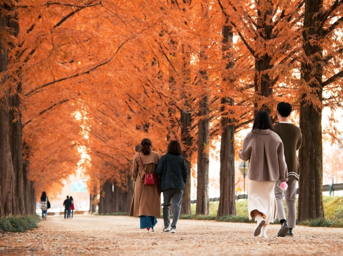[100x100 Atractivos de Corea] ② Tres destinos ideales para correr al aire libre este otoño