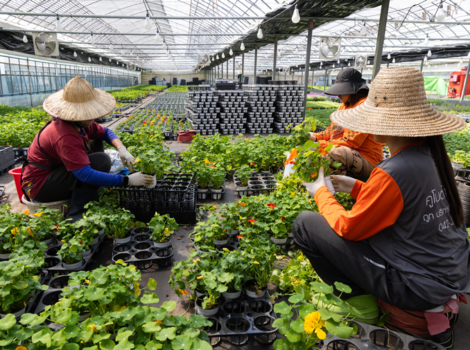 Corea refuerza la protección de trabajadores migrantes