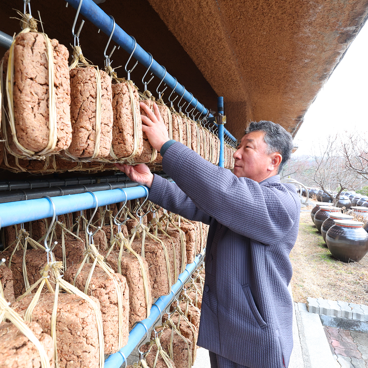 Meju (fermented soybean block)