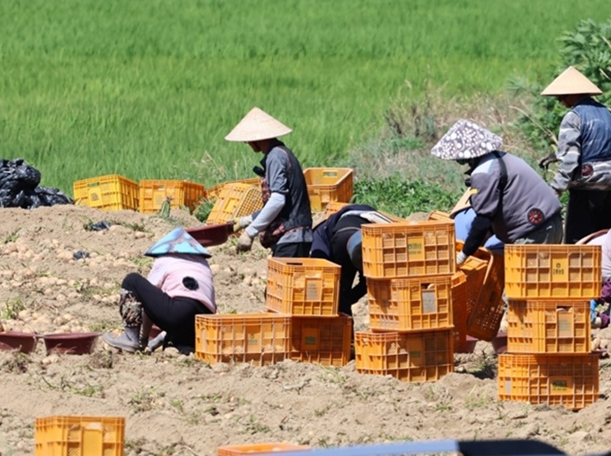 El Gobierno refuerza las medidas contra la violación de DD. HH. de los trabajadores extranjeros