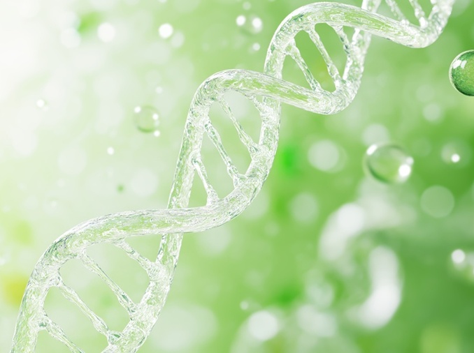 Un estudio coreano clasifica los rasgos moleculares del autismo en dos patrones principales